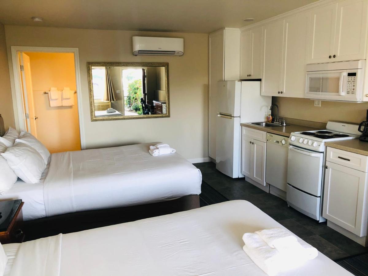 Moonlight Beach Motel Encinitas Extérieur photo
